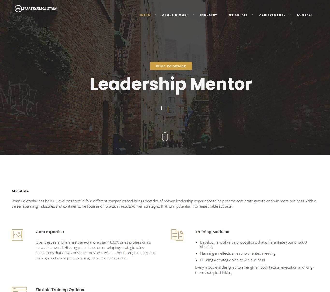 strategiesolution webiste img new